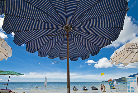 Samui岛 热带 海滨 蓝色的 棕榈树 海景 晚上 海滩图片