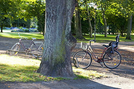 自行车 孩子们 放松 健康 生活 镇 婴儿 瑞典图片