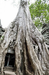 普罗姆 旅行 历史的 遗产 世界遗产 佛教 供品 祈祷 吴哥 巴戎图片