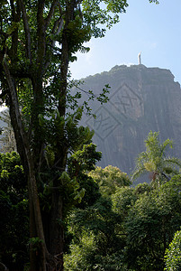 Corcovado 基督雕像的观点 旅行 棕榈背景图片