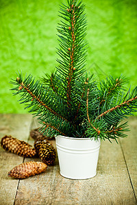 圣诞 fir 树和松饼图片
