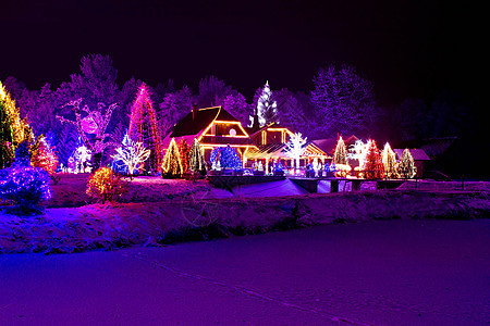 圣诞幻想 - 公园 森林和小屋在X马灯下图片