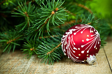 圣诞节装饰和fir树 假期 红色的 松树 乡村图片