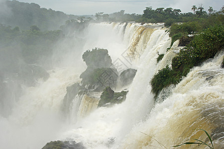 阿根廷 南美洲伊瓜祖的瀑布 国家的 假期 伊瓜苏 雨林图片