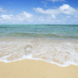 蓝天空热带海滩图片