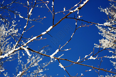 冬季风景 越冬 远足 假期 天空 雪 山脉图片