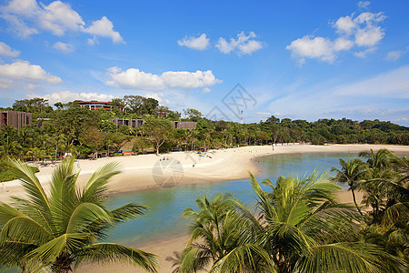 森托萨岛 树 海 干净的 泻湖 风景 云 安静的背景图片