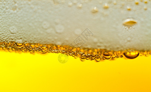 啤酒泡沫 湿的 冰 小麦 气泡 餐厅 肥硕 液体图片