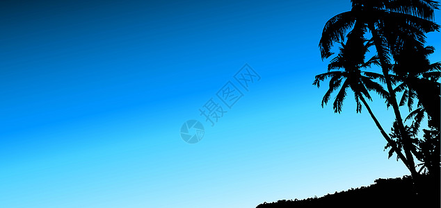 棕榈树 自然 蓝色的 程式化 天堂 剪贴画 插图 夏威夷图片
