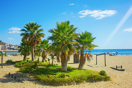 西班牙Fuengirola海滩上的棕榈树图片