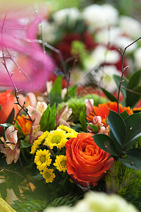 一束鲜花 绽放 自然 开花 美丽 假期 花束 婚礼图片