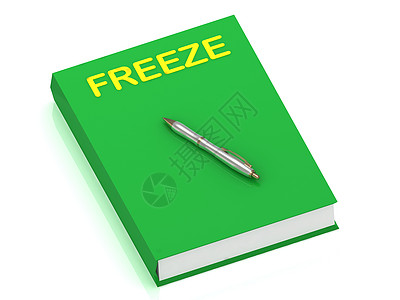 封面本上的FREEZE名称图片