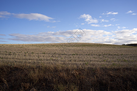 西班牙语农村地区 干草 土壤 干燥 生活 打谷图片