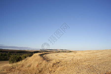 西班牙语农村地区 打谷 麦田 土壤 场地 夏天 宣称图片