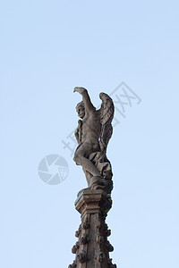 米兰大教堂上天使翅膀的雕像图片