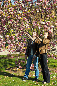 年轻夫妇在开花树上 友谊 手臂 自由 男人 假期 美丽的图片