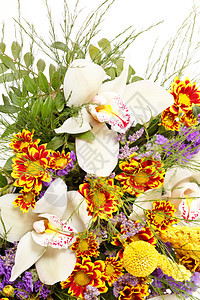 篮子中美丽的花朵 礼物 甘菊 粉色的 白色的 自然图片