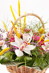 篮子中美丽的花朵 粉色的 花束 植物群 礼物 春天 夏天图片