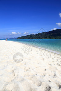 美丽的热带风景 泰国利佩岛 海洋 浪漫的 天空 蓝色的图片