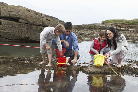 海滩收集贝壳的年轻家庭 学习 水桶 男生 女孩图片