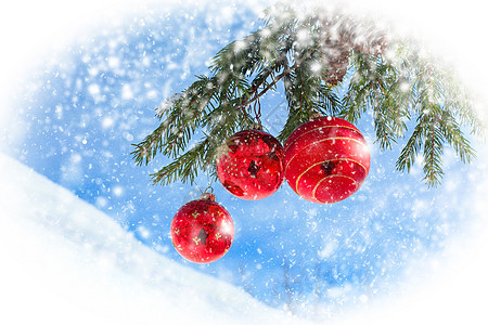 圣诞节装饰 冬天 冷冻 弓 树 玻璃 蓝色的图片