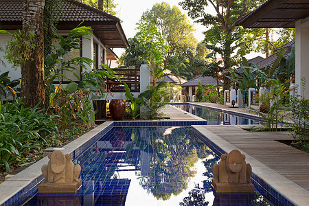 在一个外来旅馆里有棕榈树的游泳池图片