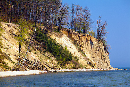海悬崖 波兰 日光 气候 植物 假期 蓝色的 海岸 森林图片