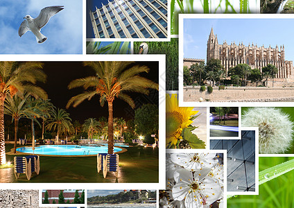 假期记忆 马赛克 春天 旅行 热带 酒店 世界 夏天 相片背景图片
