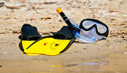 岸边的护目镜和脚掌 风镜 水上运动 潜水 脚蹼 海洋图片