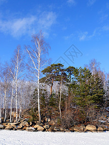 冬季风景 季节 云 宁静 自然 寒冷的 霜图片