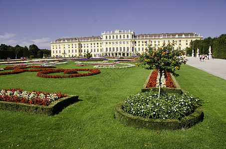 松布伦城堡内的花园和花朵 王子 建筑物 夏天 美泉宫图片