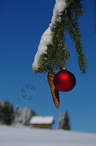 空标 假期 冰冷的 圣诞树 诺埃尔 装饰品 冬天 雪花图片