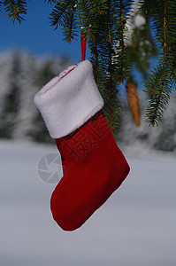 圣诞节 自然 假期 天气 风景 文化 礼物 寒冷的 展示图片