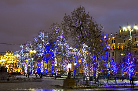 莫斯科 圣诞灯光中的树木图片