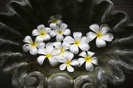 SPA中的弗朗吉帕尼花卉和石头图片