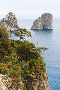 卡普里岛海岸 天空 水 意大利 欧洲 蓝色的 树图片