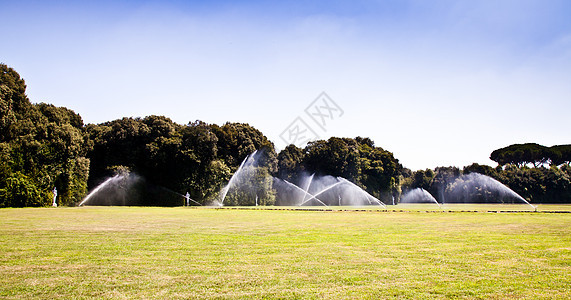 奢华花园 灌溉 国王 自然 历史 全景 植物 巴洛克风格图片