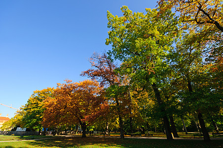 秋天公园 散步 蓝天 娱乐 树木 步行 放松 云背景图片