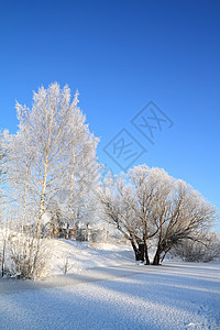 冬季风景 阳光 宁静 户外 财产 雪堆 天空 住宅图片