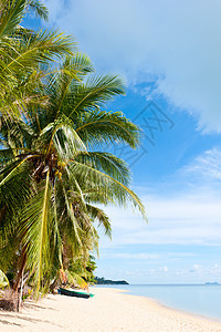 塞舌尔热带沙滩图片