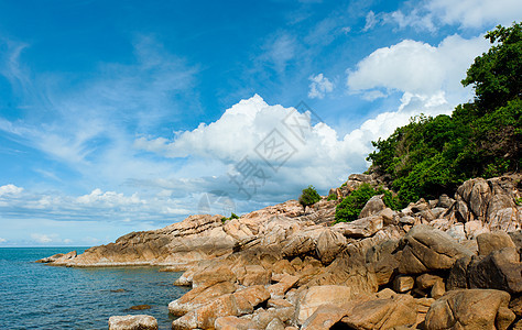 热带热带海滩 岩石 旅游 叶子 海浪 海岸 水 自然图片
