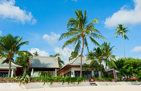 美丽的有棕榈树的房屋 水 大溪地 热带 酒店 浪漫的背景图片