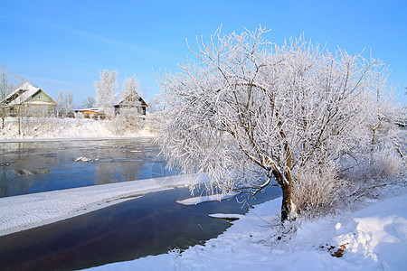 沿海河冬季村 窗户 阳光 俄罗斯 冷杉 日志 自然 户外图片