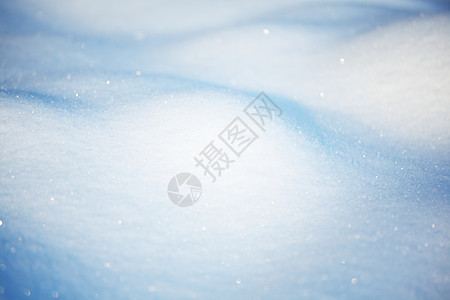 雪 季节 霜 寒意 大雪纷飞 一月 滑雪 清爽 旅游图片