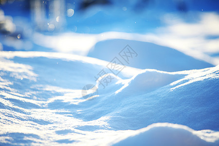 雪 冰冷的 天气 大雪纷飞 旅游 寒意 冬天 假期 霜 冻结 季节图片