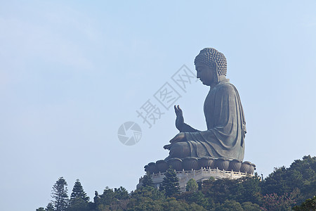 太阳晒土大芽图片