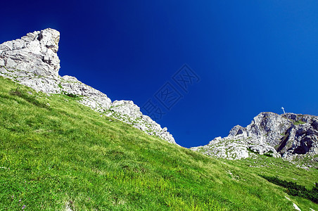 山脉地貌 高的 环境 草地 灌木丛 树 草 顶峰图片