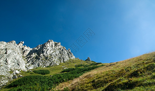 山脉地貌 农村 树木 夏天 农业 草地 草 树图片