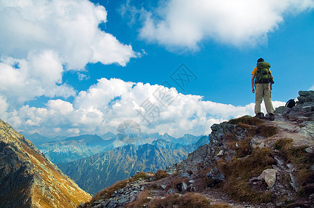 山脉地貌 风景 清除 夏天 环境 波兰 灌木丛图片