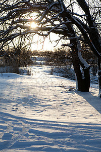 冬天日落 旅行 蓝色的 地平线 天空 黄昏 公园图片